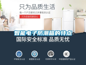 常見問題智能電子防潮箱的特點