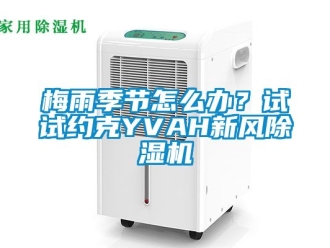 常見(jiàn)問(wèn)題梅雨季節(jié)怎么辦？試試約克YVAH新風(fēng)除濕機(jī)