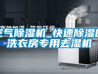 行業新聞空氣除濕機_快速除濕的洗衣房專用去濕機