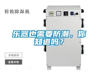 常見問題樂器也需要防潮，你知道嗎？