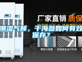 常見(jiàn)問(wèn)題潮濕氣候，干海參如何有效保存？