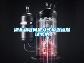 知識百科湖北物聯(lián)網(wǎng)步入式恒溫恒濕試驗房