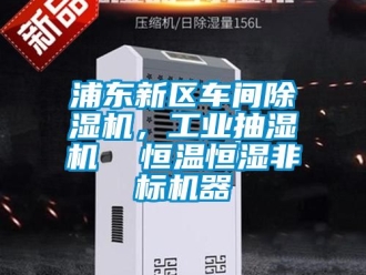 常見問題浦東新區車間除濕機，工業抽濕機  恒溫恒濕非標機器