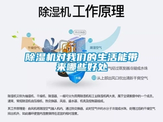 行業(yè)新聞除濕機(jī)對我們的生活能帶來哪些好處