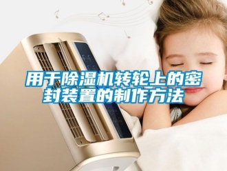 常見問題用于除濕機轉(zhuǎn)輪上的密封裝置的制作方法