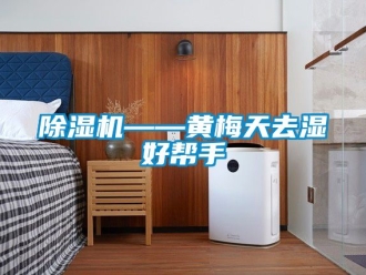 行業新聞除濕機——黃梅天去濕好幫手