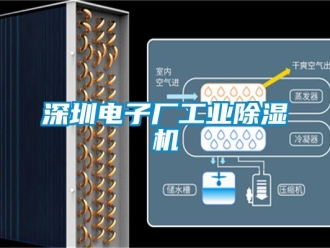 常見問題深圳電子廠工業除濕機
