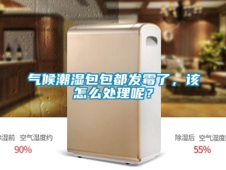 常見問題氣候潮濕包包都發霉了，該怎么處理呢？