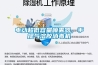 電動超低容量噴霧器，手提氣溶膠消毒機(jī)