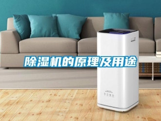 常見(jiàn)問(wèn)題除濕機(jī)的原理及用途