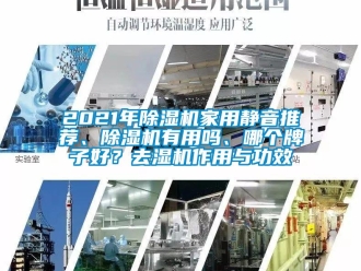 常見問題2021年除濕機家用靜音推薦、除濕機有用嗎、哪個牌子好？去濕機作用與功效