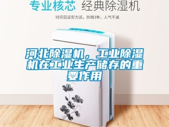 常見問題河北除濕機，工業(yè)除濕機在工業(yè)生產(chǎn)儲存的重要作用