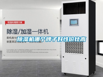 常見問題除濕機哪個牌子好性價比高