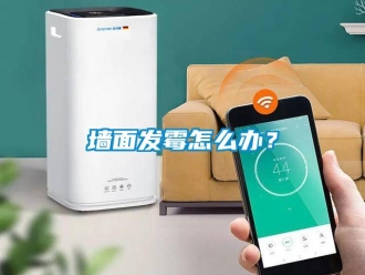 常見問題墻面發霉怎么辦？