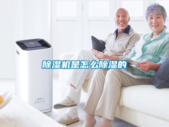 常見問題除濕機是怎么除濕的