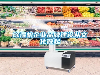 常見問題除濕機企業品牌建設從文化做起