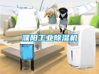 常見問題濮陽工業除濕機