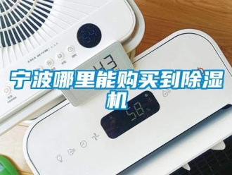行業(yè)新聞寧波哪里能購買到除濕機(jī)