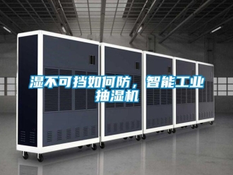 常見問題濕不可擋如何防，智能工業抽濕機