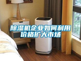 常見問題除濕機企業如何利用價格擴大市場
