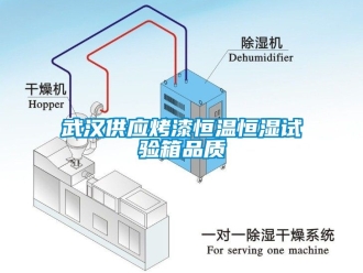 知識百科武漢供應烤漆恒溫恒濕試驗箱品質