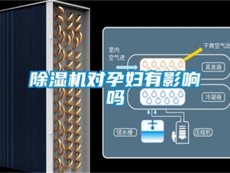 行業(yè)新聞除濕機(jī)對孕婦有影響嗎