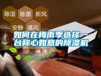 常見問題如何在梅雨季選擇一臺稱心如意的除濕機