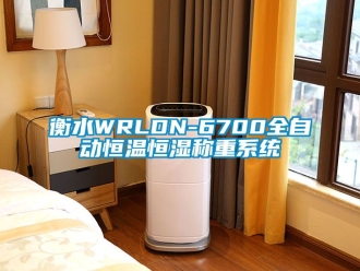 知識(shí)百科衡水WRLDN-6700全自動(dòng)恒溫恒濕稱重系統(tǒng)