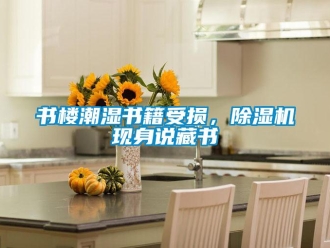 知識(shí)百科書樓潮濕書籍受損，除濕機(jī)現(xiàn)身說藏書