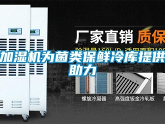 行業(yè)新聞加濕機(jī)為菌類保鮮冷庫提供助力