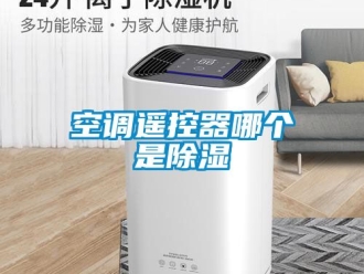 行業(yè)新聞空調(diào)遙控器哪個是除濕