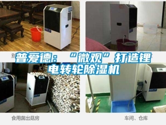 常見問題普愛德：“微觀”打造鋰電轉(zhuǎn)輪除濕機(jī)