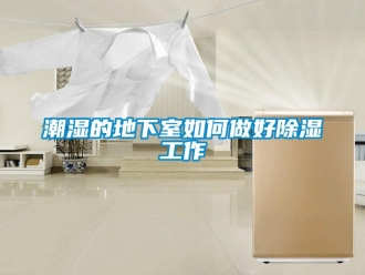常見(jiàn)問(wèn)題潮濕的地下室如何做好除濕工作