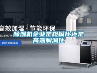 常見問題除濕機企業是規模化還是高端利潤化