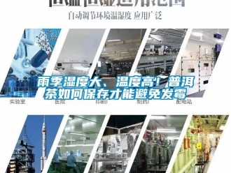 常見問題雨季濕度大、溫度高！普洱茶如何保存才能避免發霉