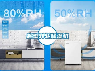 常見問題鶴壁轉(zhuǎn)輪除濕機(jī)
