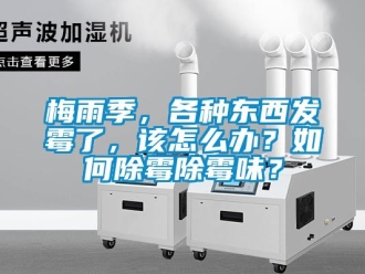 常見問題梅雨季，各種東西發霉了，該怎么辦？如何除霉除霉味？