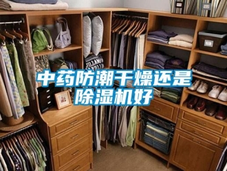 知識(shí)百科中藥防潮干燥還是除濕機(jī)好