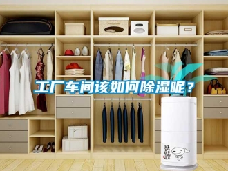 常見問題工廠車間該如何除濕呢？