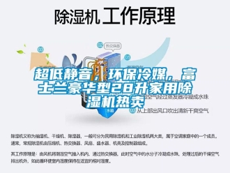 常見問題超低靜音，環保冷媒，富士蘭豪華型28升家用除濕機熱賣