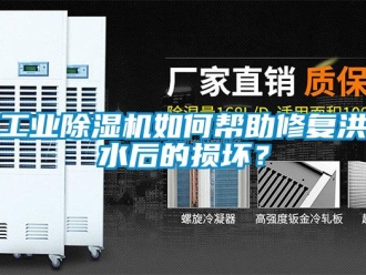 常見問題工業除濕機如何幫助修復洪水后的損壞？