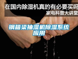 行業新聞鋼箱梁抽濕機除濕系統應用