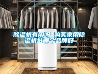 常見問題除濕機有用嗎 購買家用除濕機選哪個品牌好