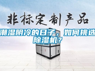 常見(jiàn)問(wèn)題潮濕陰冷的日子，如何挑選除濕機(jī)？