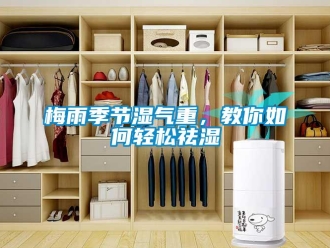 常見問題梅雨季節(jié)濕氣重，教你如何輕松祛濕