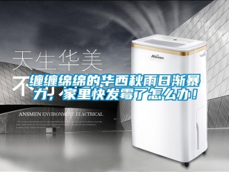 常見問題纏纏綿綿的華西秋雨日漸暴力，家里快發霉了怎么辦！