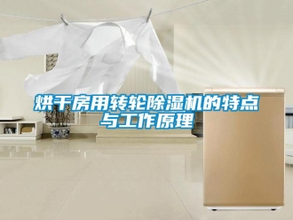 常見問題烘干房用轉輪除濕機的特點與工作原理