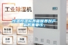 恒溫恒濕標(biāo)養(yǎng)箱保養(yǎng)對產(chǎn)品的重要性。