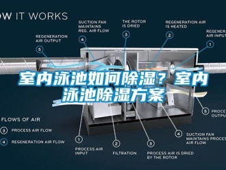常見(jiàn)問(wèn)題室內(nèi)泳池如何除濕？室內(nèi)泳池除濕方案