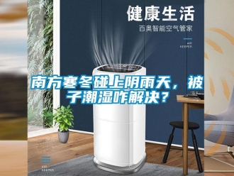 行業(yè)新聞南方寒冬碰上陰雨天，被子潮濕咋解決？